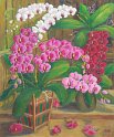 32-蘭花