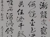 善導大師勸世偈.jpg