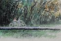 39-田野.樂騎A2
